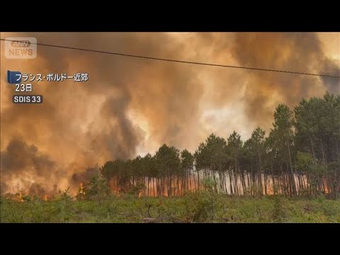 仏 ボルドー近郊の山火事　被害拡大続く　住民ら11万人が避難(2026年7月25日)