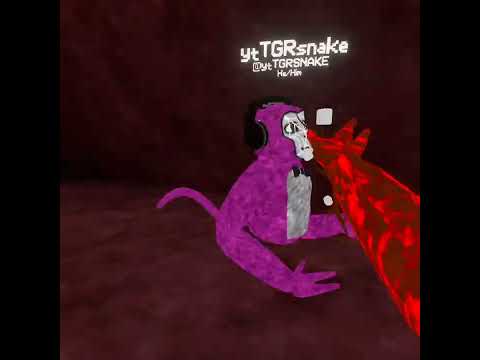 Monkey Bunch VR Team Try Out