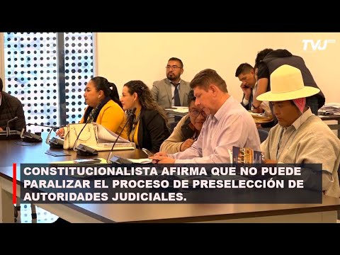 CONSTITUCIONALISTA AFIRMA QUE PRESENTACIÓN DE  AMPAROS CONSTITUCIONALES NO PUEDE PARALIZAR