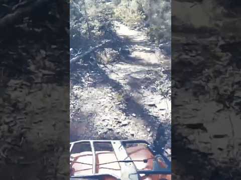 Do You Train With Your Offroad Vehicle? #shorts