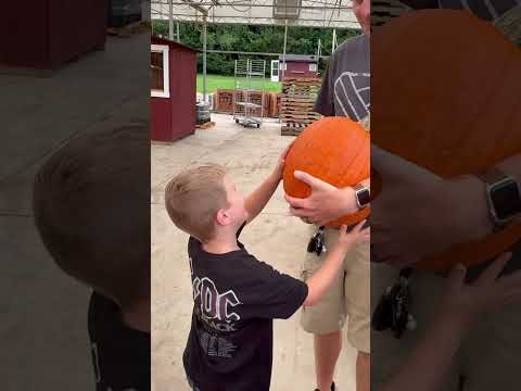 Pumpkin picking and costume shopping! #halloween #costumes #pumpkins