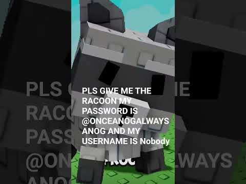 PLS I REALLY WANT THE RACOON