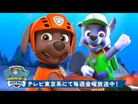 パウ・パトロール | パウ・パトロールの水のレスキュー！#3 ズーマ＆ロッキー 🏄‍♂️ 30分 | テレビ東京系にて放送中