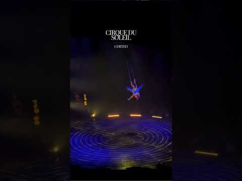 circus #dangerous #part 7