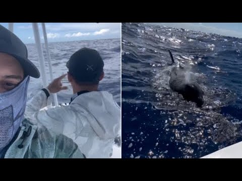 Fue algo muy impresionante: pescador narra encuentro cercano con ballenas orcas cerca de Isabela y