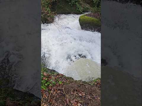 Tempête Nils, petit tour rapide du terrain en collectif pour vérifier les dégâts.