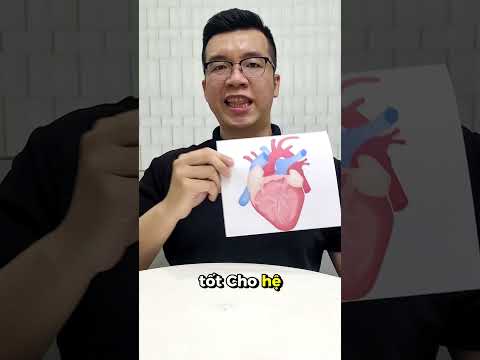 Chuyện gì sẽ xảy ra khi ăn trứng gà trong 30 ngày #suckhoe #dinhduong #timmach #cholesterol #xuhuong