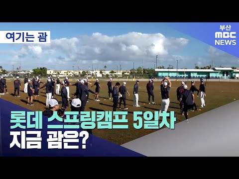 롯데 스프링캠프 5일차... 지금 괌은? (2024-02-05,월/뉴스투데이/부산MBC)