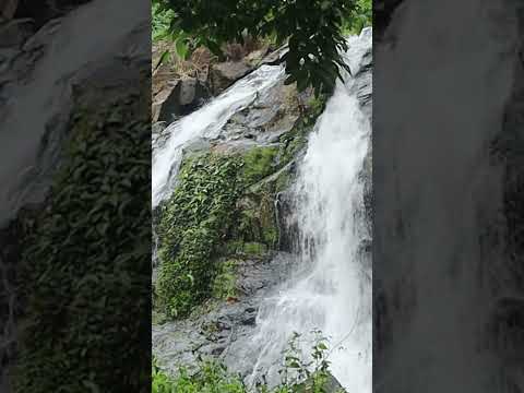 Pure nature waterfall sound for deep peace 0021  #relax #rainoundforsleep #relaxingsounds