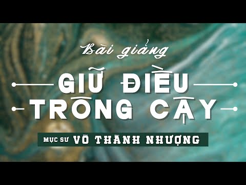 Bài giảng: GIỮ ĐIỀU TRÔNG CẬY - Mục sư Võ Thành Nhượng