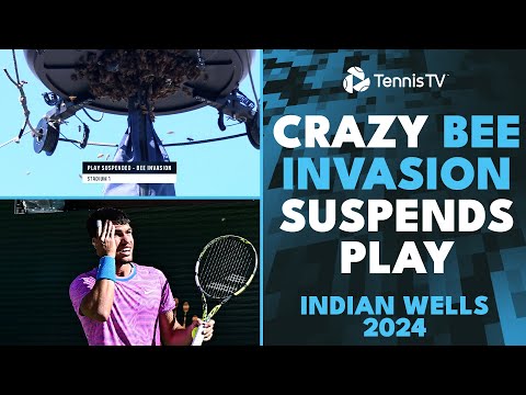 The Most BEE-ZARRE Thing You'll Ever See!! 🐝 | Indian Wells 2024