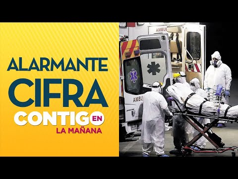 87 personas fallecieron en un día por Coronavirus en Chile - Contigo en La Mañana