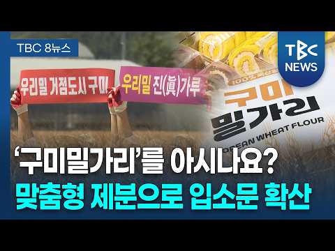 "떴다, 구미밀가리!"... 제주서도 찾는다 [260926]ㅣTBC뉴스