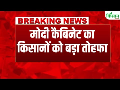#BreakingNews: मोदी कैबिनेट ने दी किसानों को 2025 की सबसे बड़ी सौगात । PM Kisan | PMDDY