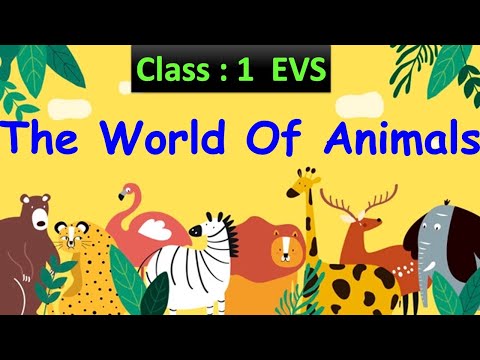 The World Of Animals | Class : 1 EVS | Types Of Animals | CBSE / CAIE | Animals Around Us