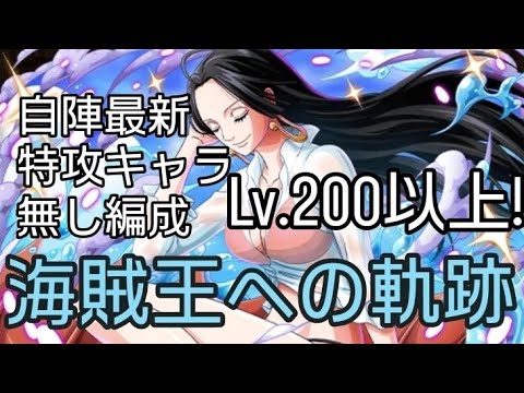 トレクル 海賊王への軌跡Lv.200想定!! 自陣最新特攻キャラ無し編成