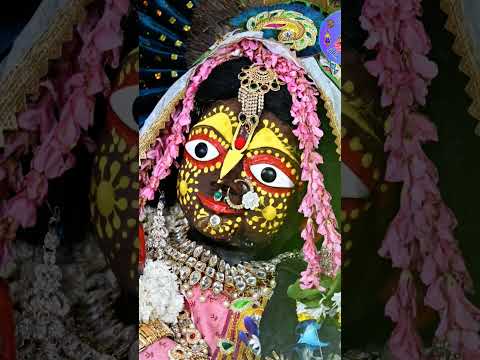 आज श्री राधा दामोदर भगवान संगीत सखी के रूप में दर्शन दिए 🙏🙏#वृंदावनधाम