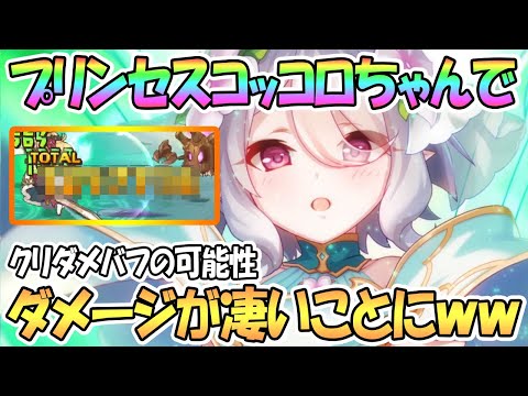 【プリコネR】プリコロちゃんで最大ダメージが凄いことになった件ｗｗ【プリンセスコッコロちゃん】