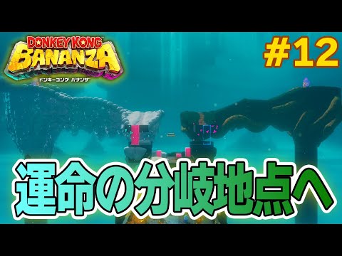 パワーで全てをぶっ壊せ！爽快感がすごい最新作を実況プレイ!! #12【ドンキーコング バナンザ】【Switch2】【ぽんすけ】
