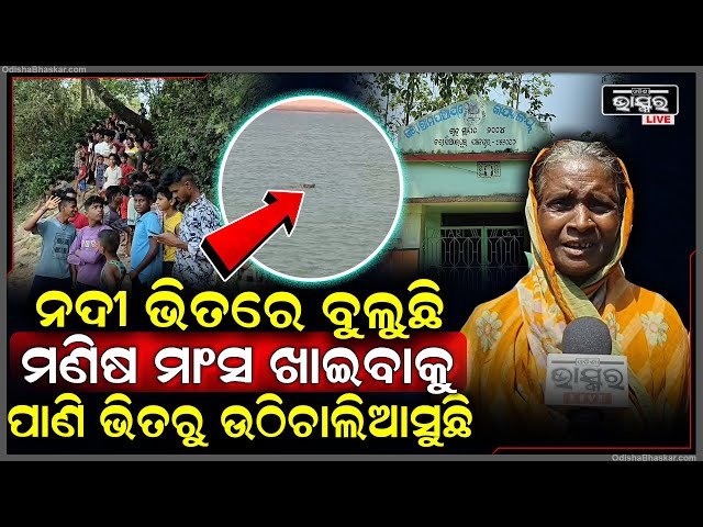 ଆରେ ବାପରେ ନଦୀ ଭିତରେ ଏ କି ଦୃଶ୍ୟ! ଥରିଲେଣି ଗାଁ ଲୋକେ, ନଦୀ ଭିତରେ ବୁଲୁଛି...