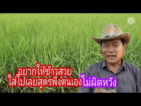 อยากให้ข้าวสวยใส่ไปเลยสูตรพึ่ง อยากให้ข้าวสวยใส่ไปเลยสูตรพึ่ง