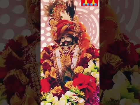 🙏श्यामा प्रीत मै तुमसे###लगा बट्ठा हु 🙏🙏😎