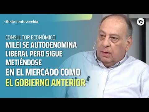 Roberto Cachanosky: Milei está haciendo LA CONTINUIDAD de la política cambiaria de MASSA