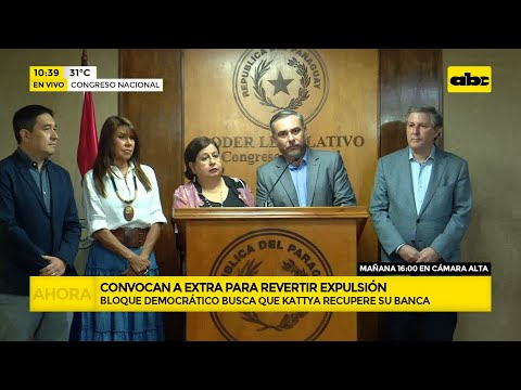 Frente opositor convoca a sesión para rever expulsión de Kattya González