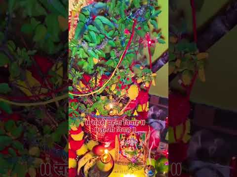 सबसे पहला विवाह🙏तुलसी विवाह🙏#bhakti #vrindavan #radharani #radheshyaam#viral#shorts #ytshorts
