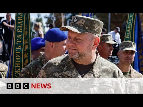 Ukraine’s top commander sets out strategy for defeating Russia | BBC News