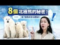 8個北極熊的秘密！其中7個我完全沒聽過！｜Greenvoice 綠之心EP42 ｜綠色和平台灣