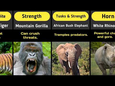 Deadliest Weapons of Animals | You Never Knew!