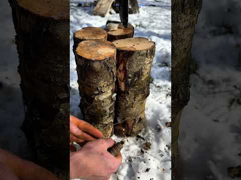Лесная печь из 4х поленьев #survival #bushcraft #lifehacks