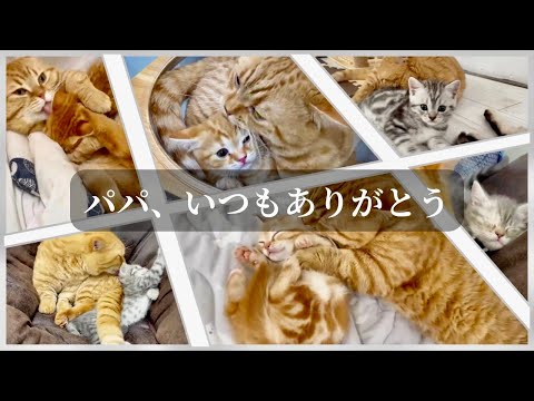 2025父の日。茶々パパへの感謝を込めて