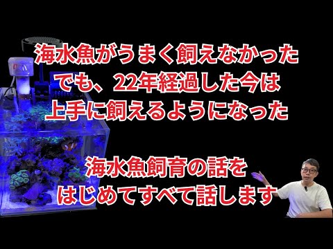 【正直に言います】小型水槽で海水魚やサンゴを飼育する本当のコツを公開します!