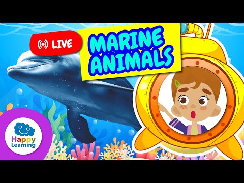 🔴LIVE | 🐠🐋 Fun Facts About Marine Animals | Educational Videos for Children | @HappyLearningEN