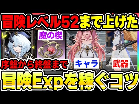 【デナアビ】冒険レベルの効率良い上げ方は？経験値の入手方法から稼ぎ方まで序盤から終盤の流れをまとめて紹介！【デュエットナイトアビス】