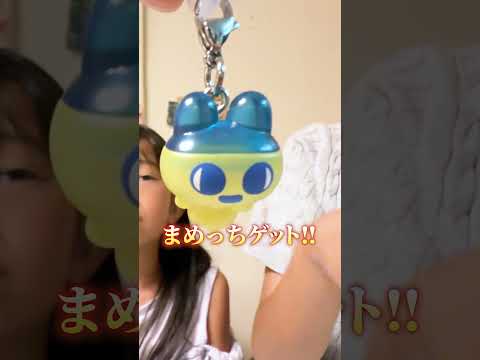 たまごっちガチャでまさかの神引きに大絶叫!? #れのれらtv #たまごっち #ガチャガチャ #shorts