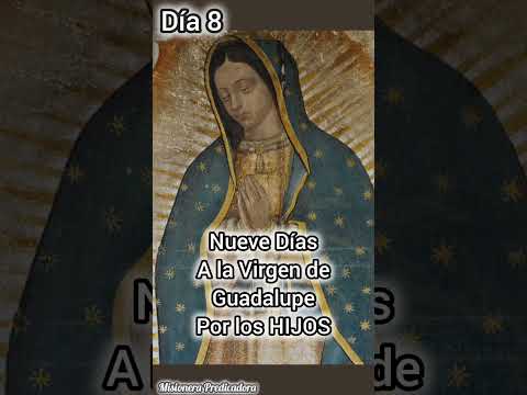 Virgen de Guadalupe Día 8 #virgenmaria #virgendeguadalupe #virgende #virgendelrosario #oraciones