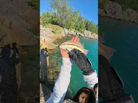 fishing 🦦 #fishing #trending #viral #viralvideos #shortsfeed #viralvideo #cartoon #comedy