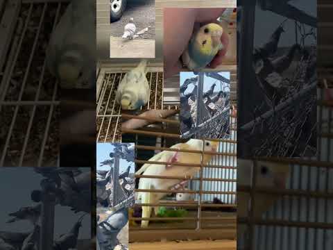 Just keep watching 2