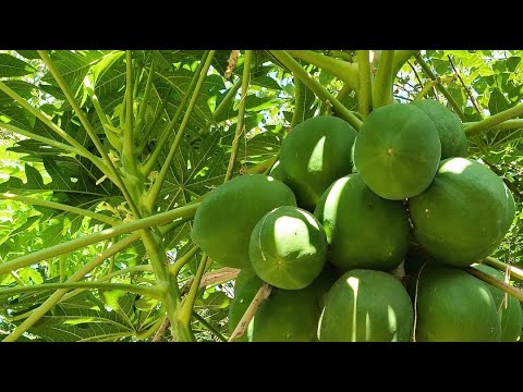 Welcome in my 353rd support Live Strem || Connect 🔄 India🇮🇳 Connect 🔄 Globally 🌍