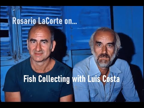 Fish Collecting with Luis Costa, piranha story, ph a segment of conversation from 2022 when Rosario LaCorte (while speaking to the Breeders Award Progr