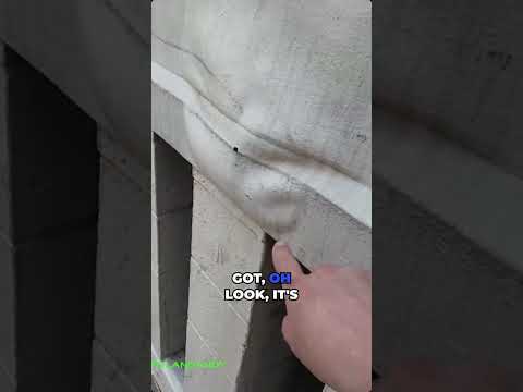 Click to play Video