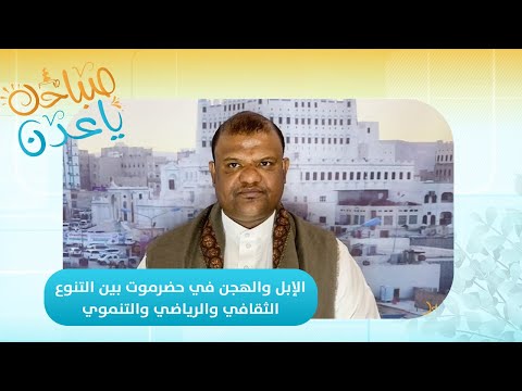 صباحك ياعدن | الإبل والهجن في حضرموت بين التنوع الثقافي والرياضي والتنموي