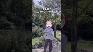 駆け出しソロキャンパーの失敗談　#キャンプ #vtuber #ソロキャンプ
