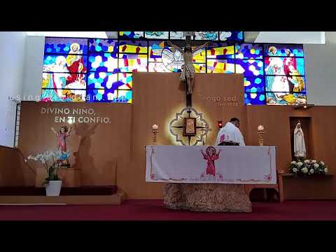 Santa Misa desde la Parroquia del Divino Niño, 7:00 a.m. Viernes 26 de julio 2024