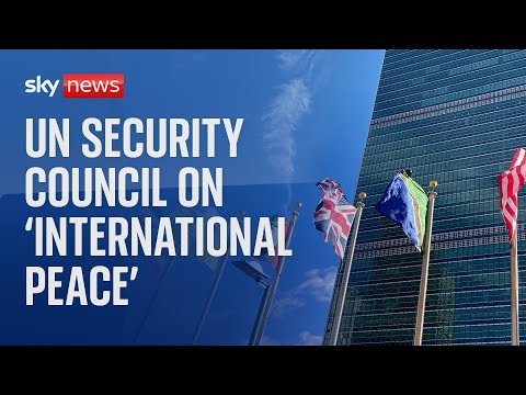 Watch live:  UN Security Council convenes for a briefing on 'international peace'