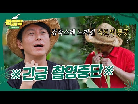 정글에서 아무거나 먹으면 안 되는 이유 #정글밥