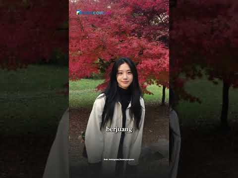 DRAKOR BARU! AHN HYO SEOP JADI KOKI KOMPETISI
